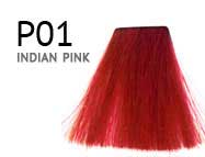 P01-INDIAN-PINK