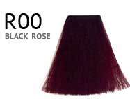 R00-black-rose