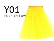 Y01-PURE-YELLOW