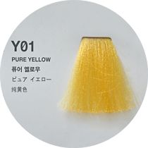 Краска Антоцианини Насыщенный Жёлтый (Pure Yellow) Y01