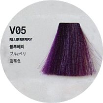 Краска Антоцианин Черничный (Blueberry) V05