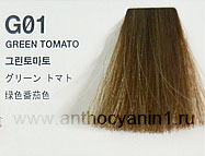 Образец окрашивания на волосах Anthocyanin