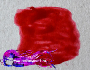 Смешивание Anthocyanin Pure Yellow Y01 и Anthocyanin Indian Pink P01