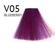 V05-BLUEBERRY